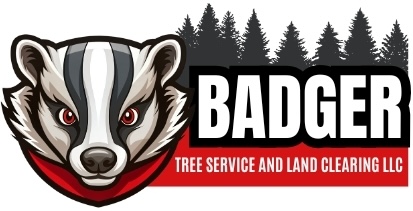 Badger Tree Service and Land Clearing LLC