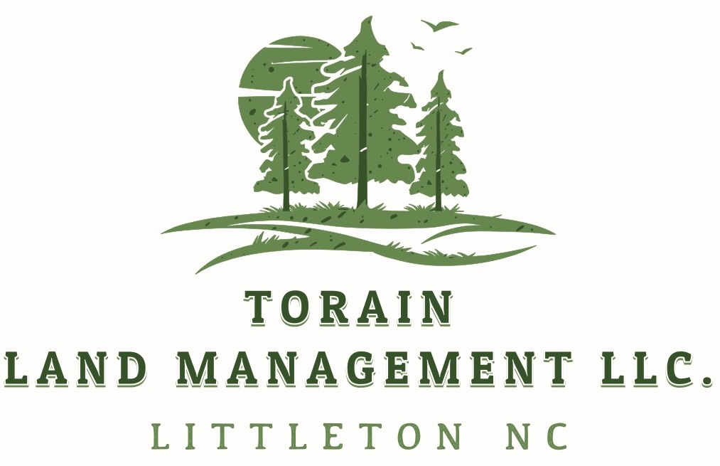 Torain Land Management LLC